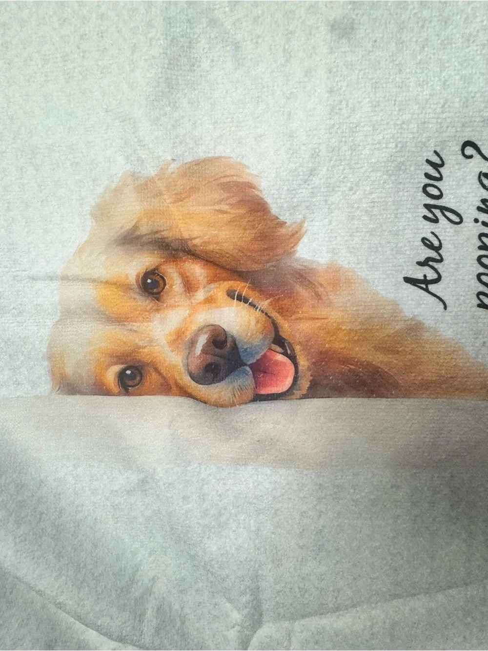 Blank Brand Golden Dog Print Pet Blanket - Cream